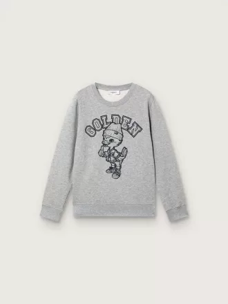 Journey sweatshirt med rund hals til drenge i gråmeleret bomuld med maskotprint Journey sweatshirt med rund hals til drenge i gråmeleret bomuld med maskotprint
