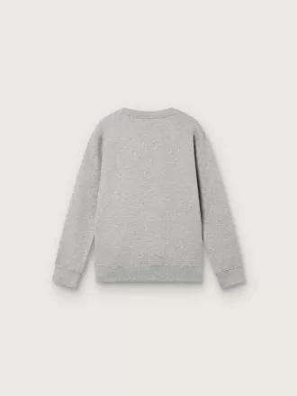 Journey sweatshirt med rund hals til drenge i gråmeleret bomuld med maskotprint Journey sweatshirt med rund hals til drenge i gråmeleret bomuld med maskotprint